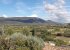 Local views