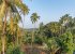 View from the villa