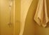 Shower bath