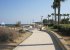 More of the boardwalk