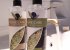 Quality bath amenities based on organic olive products.