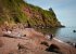 Maidencombe Beach
