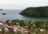 Solva