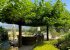 Two beautiful Mulberry trees to provide shade