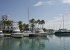 The Port of Estepona also in walking distance.