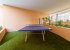 Ping pong table