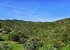 Typical Algarve serra mountain view
