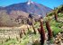 Mount Teide & the National Park, a must visit during your stay