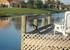 Fishing dock attracts local wildlife too!