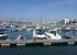 Looking back to the apartment from marina (south).