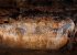Grotte de Pech Merle 
