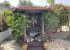Garden Kosk for some shade