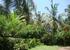 Well tended tropical garden with beautiful plants and birds