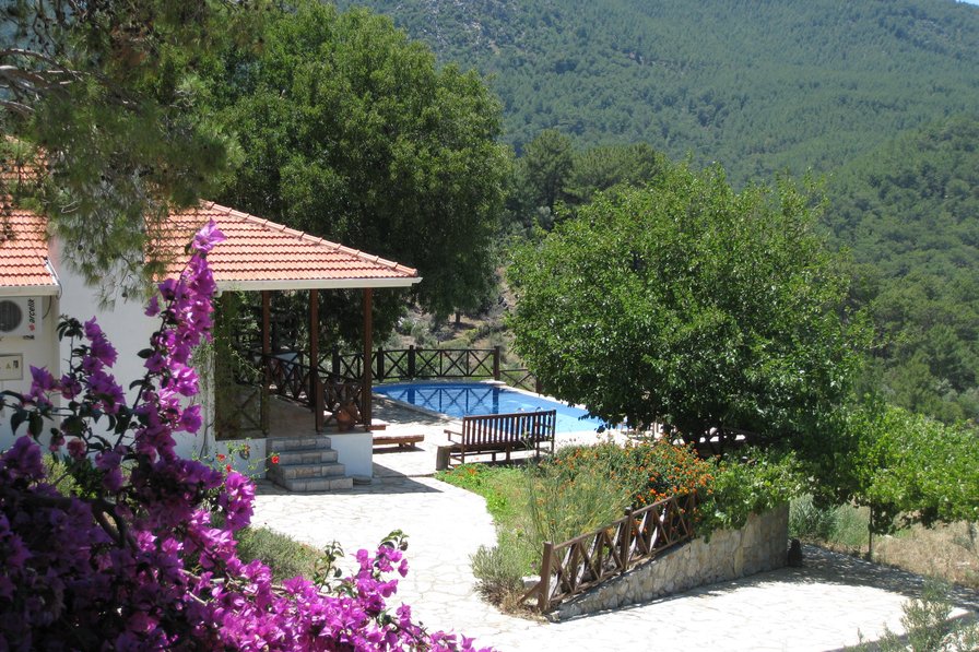 Village house to rent in Dalyan, Turkey with private pool 61475