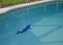  Dolphin mosaic in our Pool! He is swimming with you!