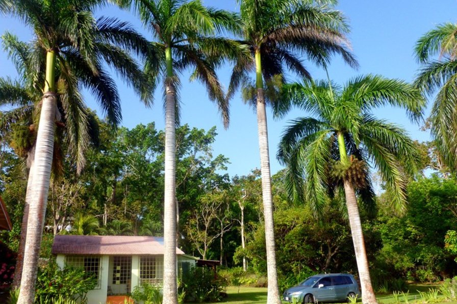 Villa For Rent St Mary Jamaica Villa For Rent St Mary Jamaica