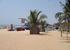 Beach showing palms