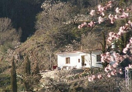 Finca in Válor, Spain: Cuesta Vinas