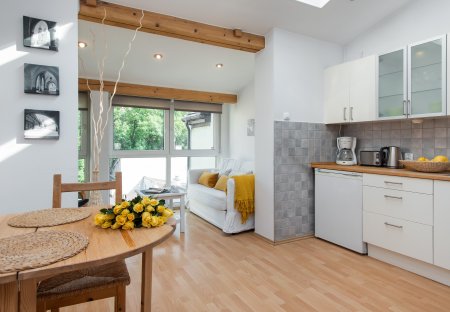 Studio Apartment in Malopolskie, Poland