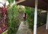 Entrance to the beach house from the side garden
